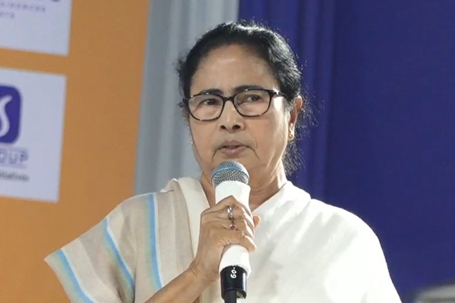 Image of Chief Minister Mamata Banerjee.