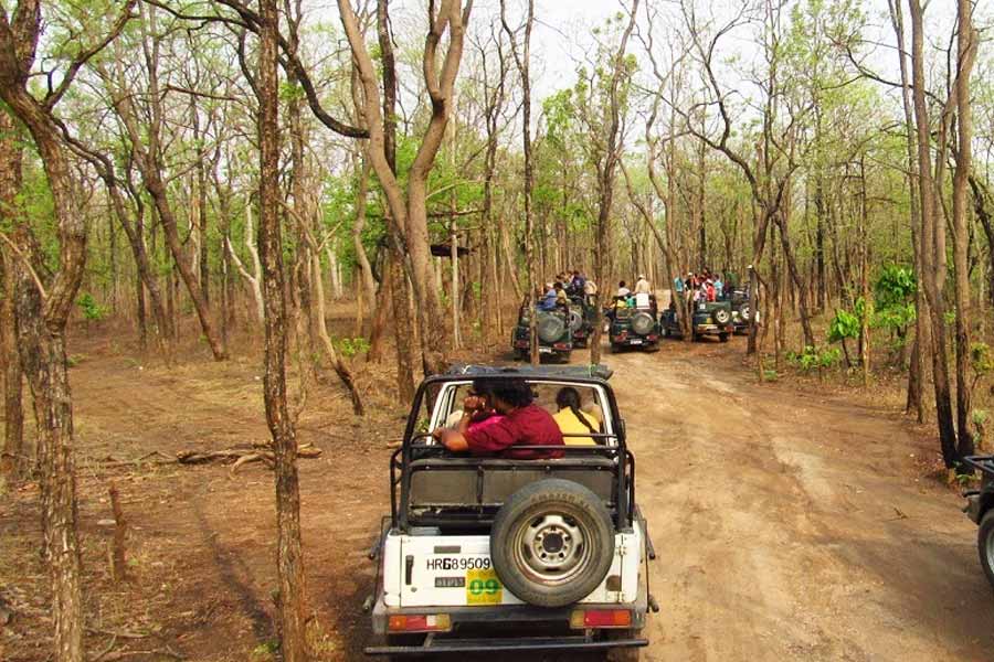 Picture of Pench National Park.