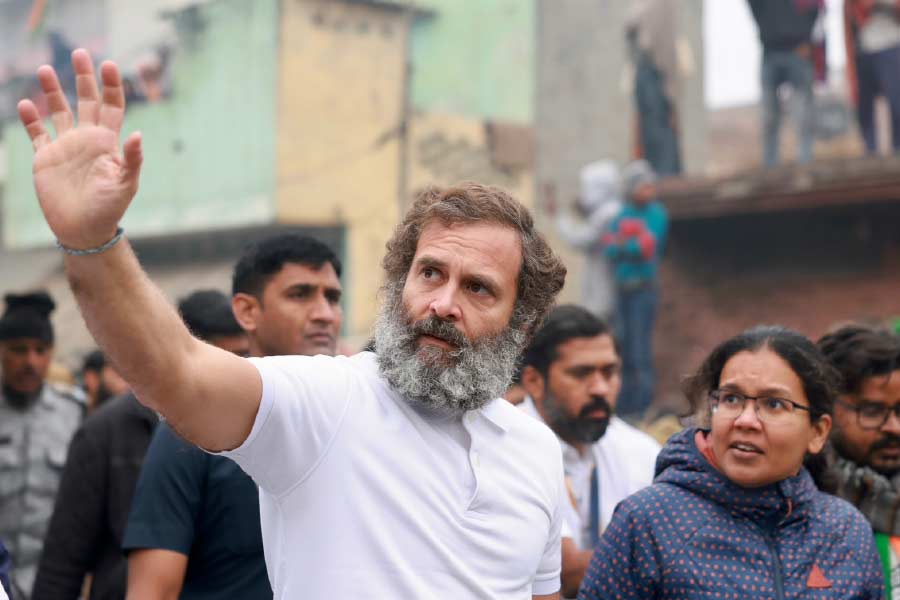 Rahul Gandhi in Congress Bharat Jodo Yatra