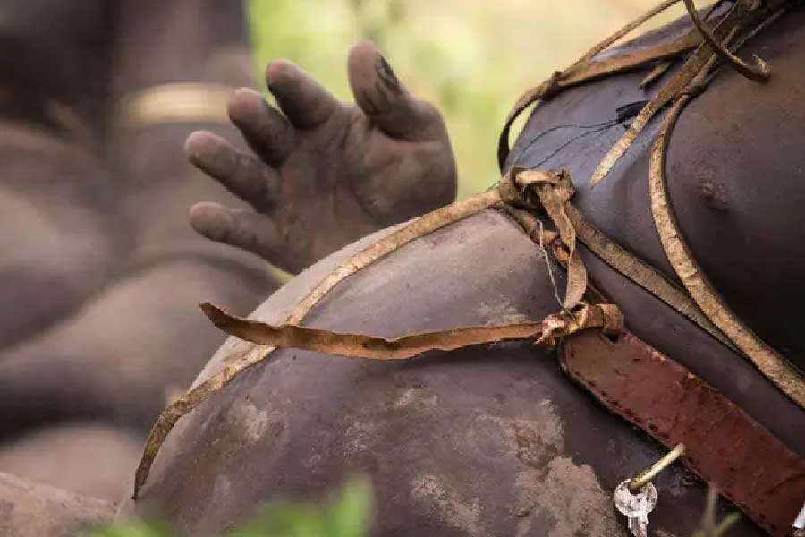 Paunch Belly of People of Bodi tribe