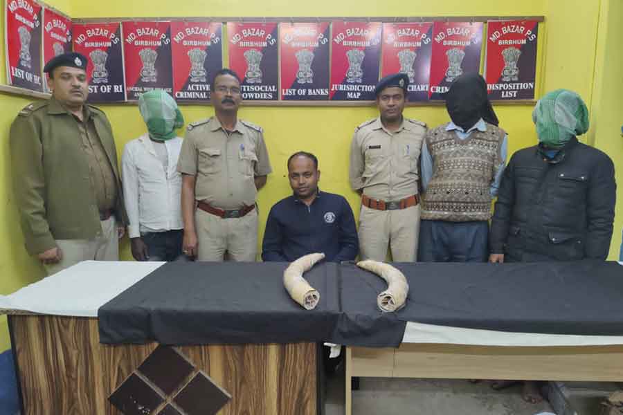 Birbhum police arrested 3 persons with ivory