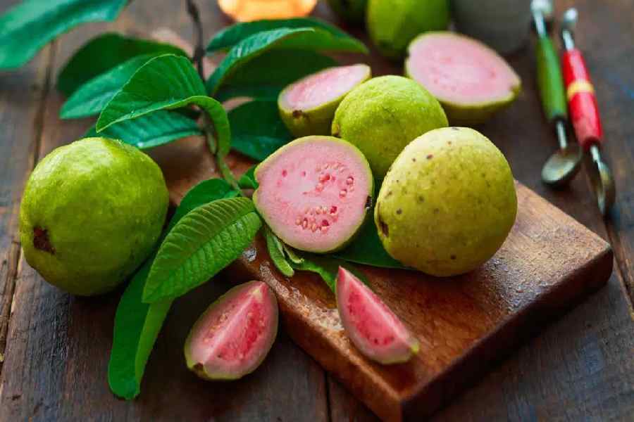 শরীর সুস্থ রাখতে পেয়ারার উপর ভরসা রাখতে পারেন।