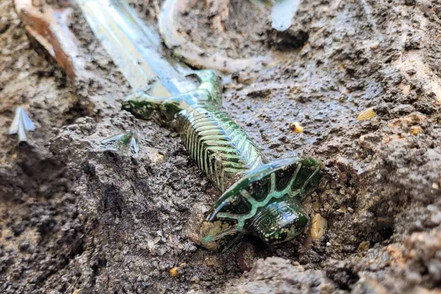 Archaeologists found 3,000 Years Old Bronze Sword in Germany which is still shining