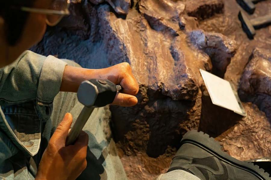 Archaeologists found 3,000 Years Old Bronze Sword in Germany which is still shining