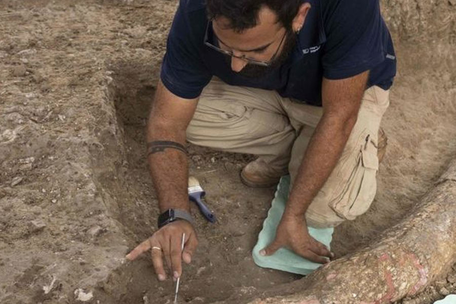 Treasure | Archaeologists Found 3,000 Years Old Bronze Sword In Germany ...