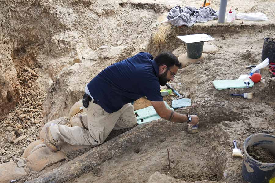 Archaeologists found 3,000 Years Old Bronze Sword in Germany which is still shining