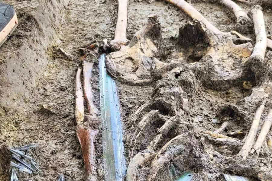 Archaeologists found 3,000 Years Old Bronze Sword in Germany which is still shining