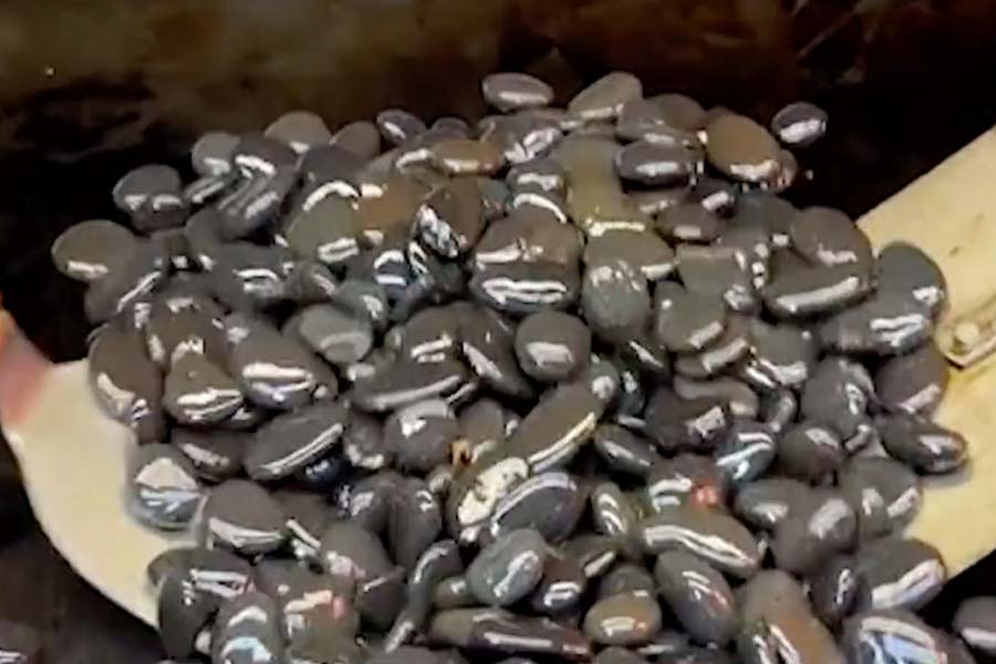 World s Hardest Dish All You Need To Know About World s Hardest Dish 