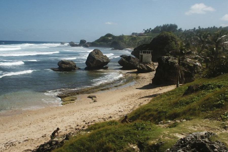 All you need to know about Haiti’s Mud cookie