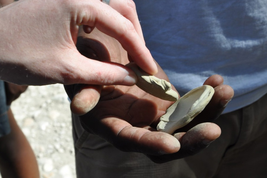 All you need to know about Haiti’s Mud cookie
