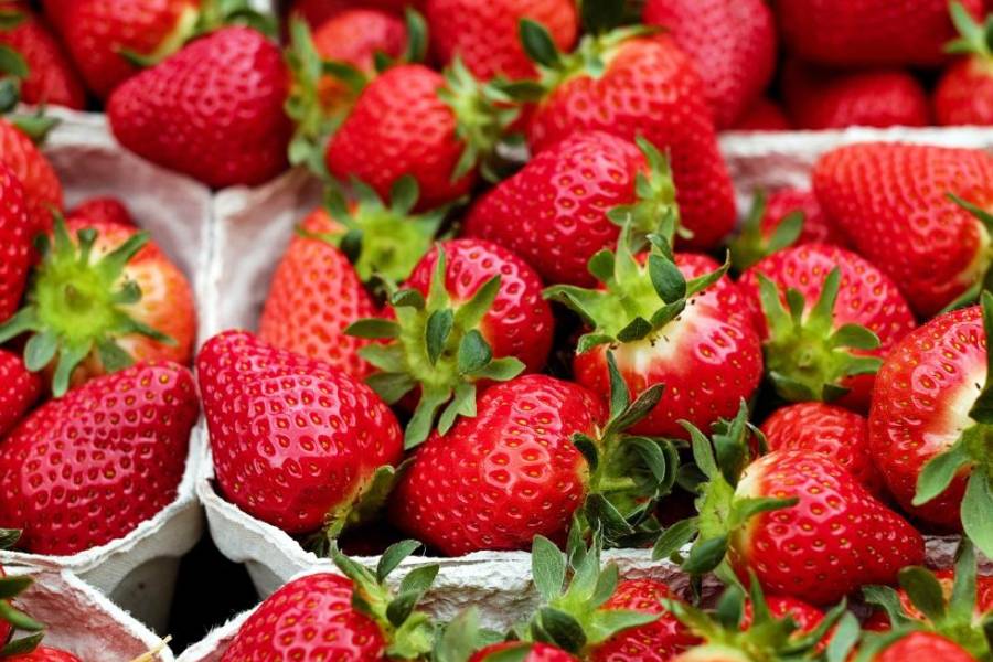 Image of Strawberry