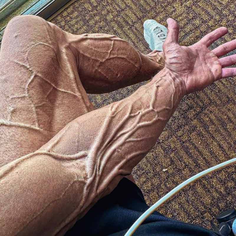 All you need to know about bodybuilder Jo Lindner who died in aneurysm