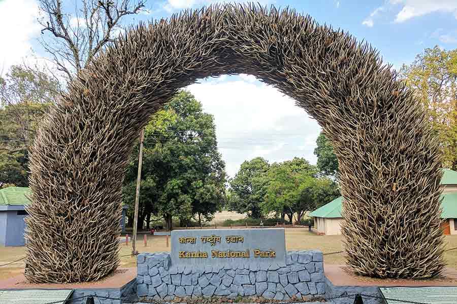 Image of Kanha National Park 