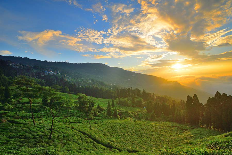 Image of Sunset