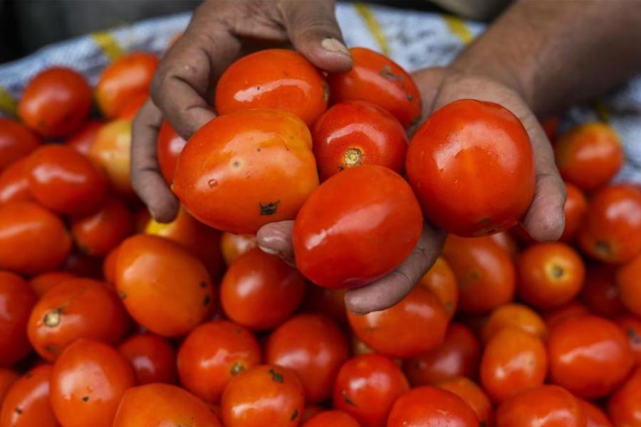 Man tricks vendor and leaves stealing four kg tomatoes in Odisha.