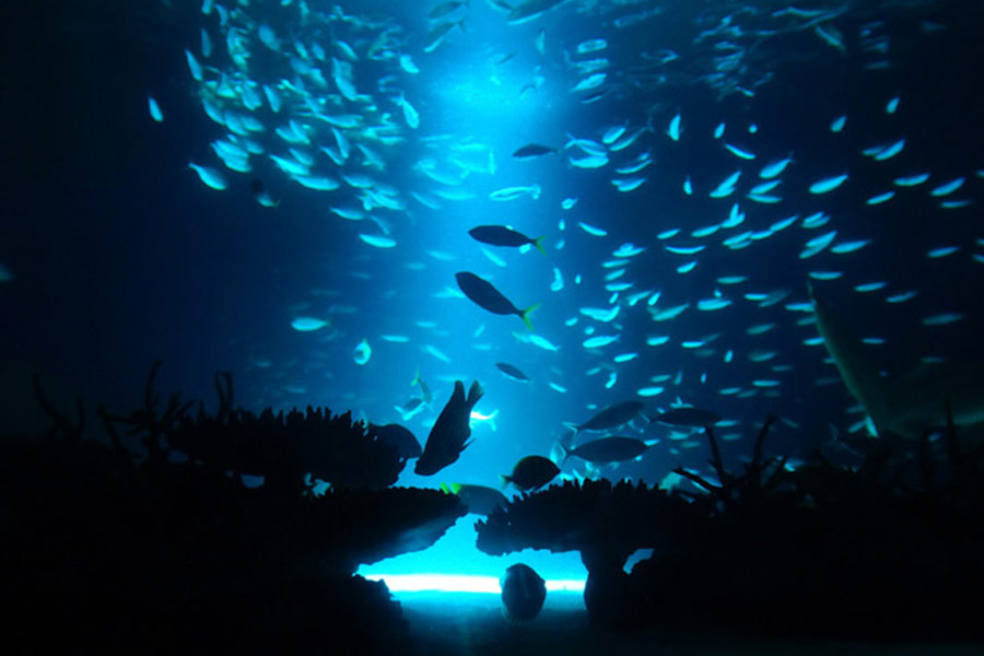 Scientists explained the possible cause of gravity hole inside the Indian Ocean.