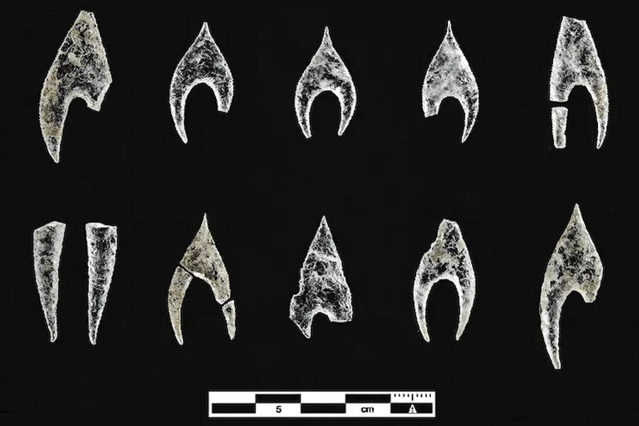 image of bones and weapon 