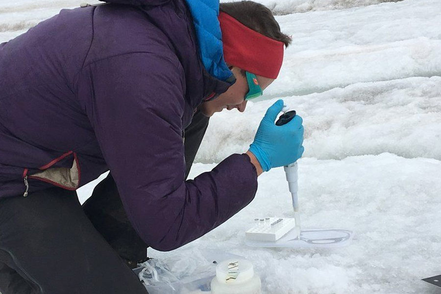 China Scientists covering Dagu Glacier with large sheets