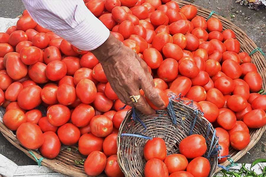 Maharashtra man becomes millionaire in a month by selling tomatoes.