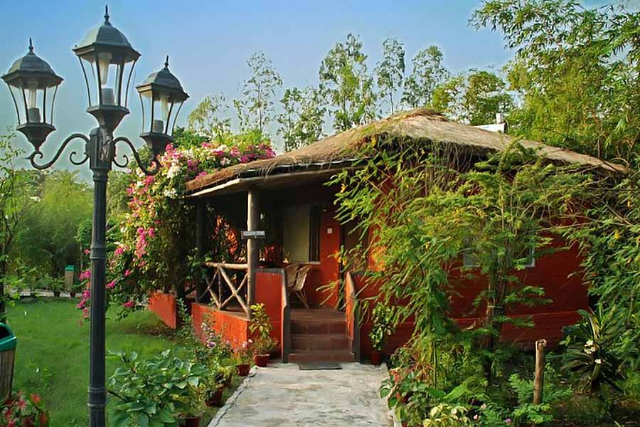 Image of Sundarban Tiger Camp.