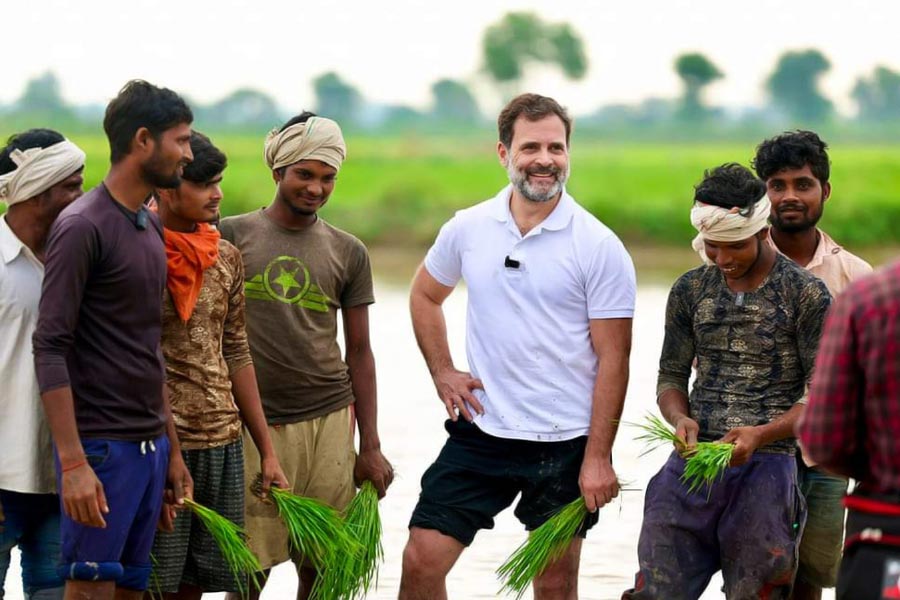 Rahul Gandhi interacts with farmers in Hariyana’s sonipat villege 