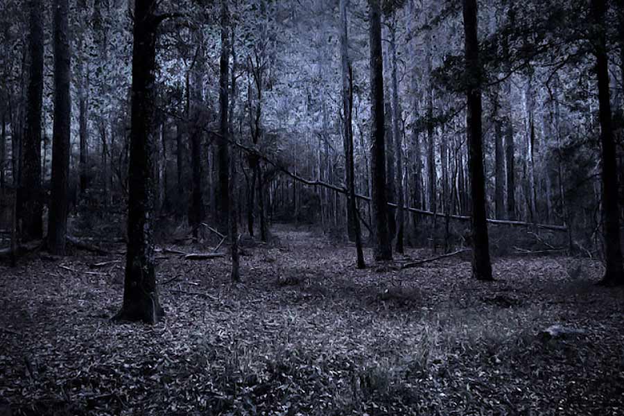 representational image of ghost 