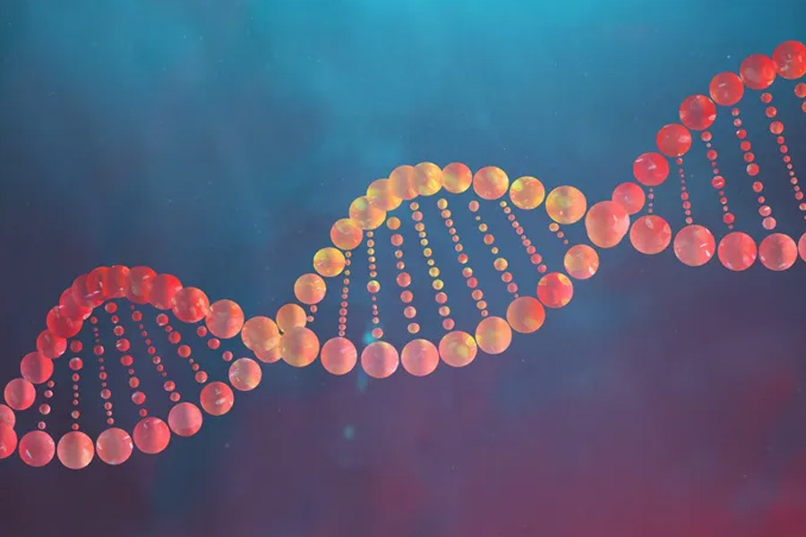 All you need to know about He Jiankui, the Chinese scientist with gene-editing proposal