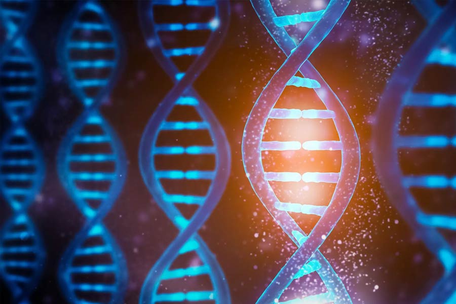 All you need to know about He Jiankui, the Chinese scientist with gene-editing proposal