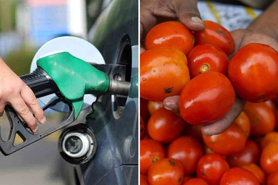 An image of Petrol and Tomato