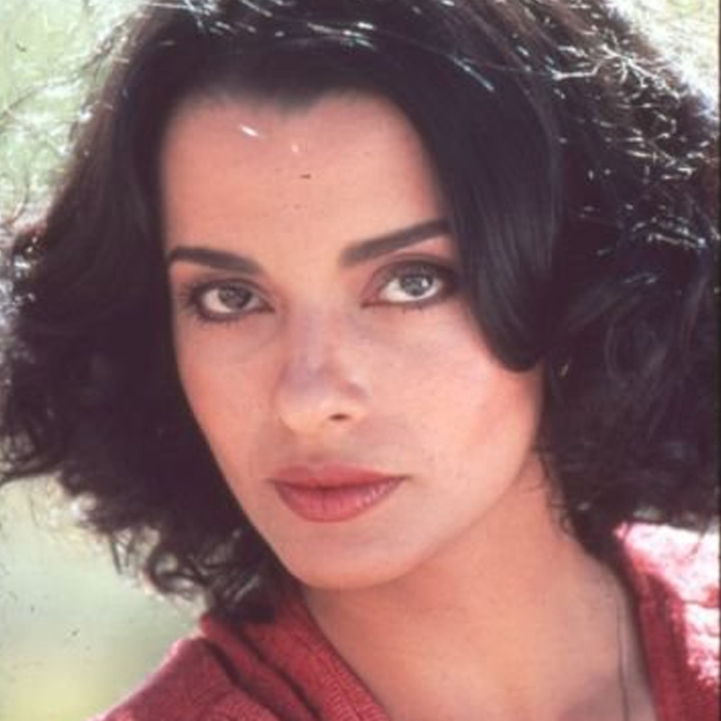 ‘নাইটহকস’, ‘মেগাফোর্স’, ‘ওয়ারিয়র অফ দ্য লস্ট ওয়ার্ল্ড’, ‘শি-উলভস অফ দ্য ওয়েস্টল্যান্ড’-এর মতো ছবিতে পার্সিসের অভিনয় প্রশংসা কুড়িয়েছিল।