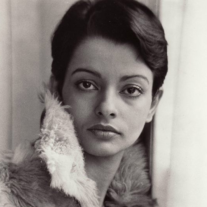 ১৯৯৩ সালে ‘লুই অ্যান্ড ক্লার্ক: দ্য নিউ অ্যাডভেঞ্চার্স অফ সুপারম্যান’ টেলিভিশন শোয়ে শেষ অভিনয় করতে দেখা যায় পার্সিসকে। তার পাঁচ বছর পর ‘নট অ্যা নাইস ম্যান টু নো’ টেলিভিশন শোয়ে অতিথিশিল্পী হিসাবে দেখা গিয়েছিল তাঁকে।