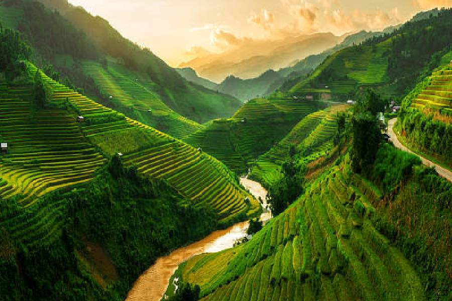 Image of Vietnam 
