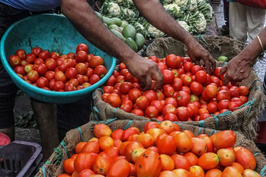 Farmers protest as tomato price declined.