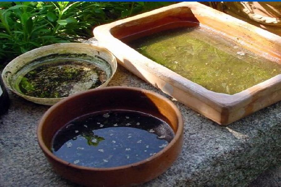 Image of stagnant water 