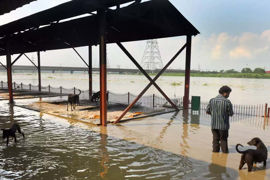 Delhi Flood like situation get worsen, people are fighting for food and water