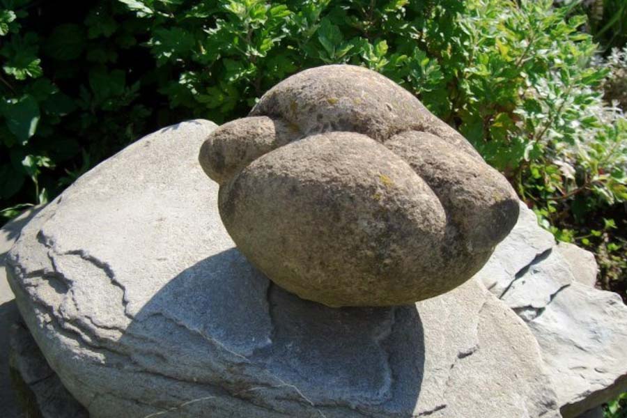 Image of Trovants stones of Romania