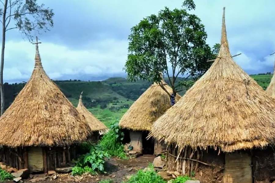 Story of Mexican village where every human and animals are blind