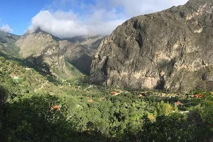 Story of Mexican village where every human and animals are blind