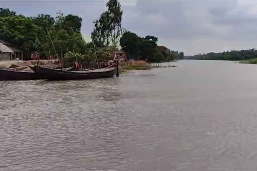 The erosion of Fulahar river at Harishchandrapur of Malda has become a menace now