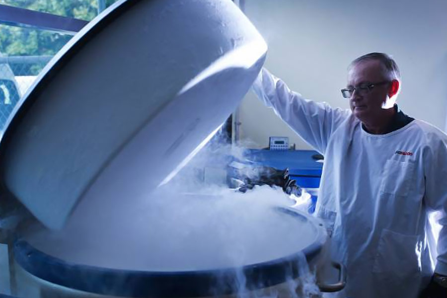 All you need to know about Cryonics, believed to be a death cheating science