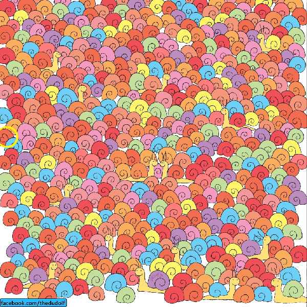 ধাঁধার উত্তর। 