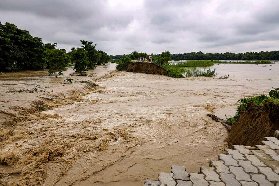 Image of floodhit kaziranga national park 