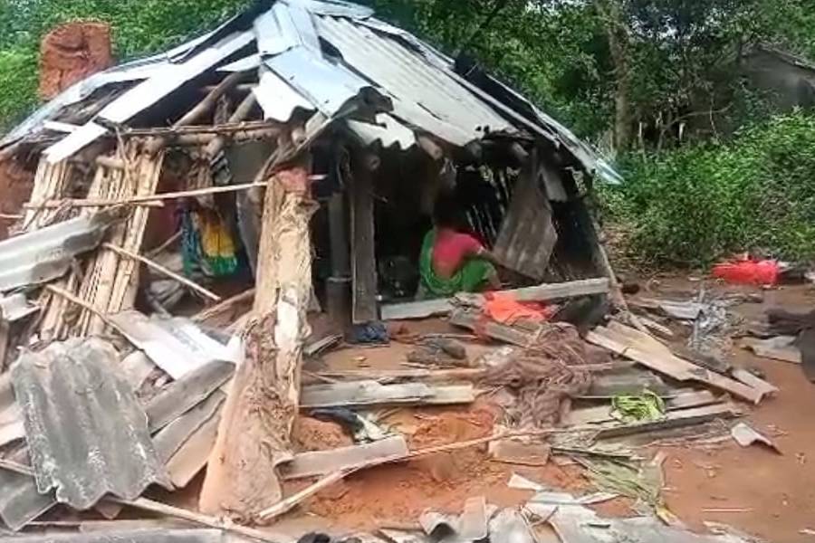 Man died after Elephant attack in Midnapore and houses broken in Jhargram 