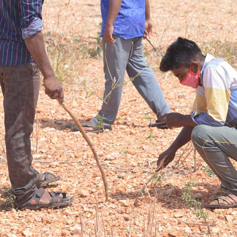 সংবাদমাধ্যমের প্রতিবেদন অনুযায়ী, ২০১৯ সালে একটি হিরের জন্য ৬০ লক্ষ টাকা পান এক কৃষক। পরের বছর অন্ধ্রের দুই বাসিন্দার ভাগ্যবদল হয়েছিল। দু’টি দামি রত্ন খুঁজে পেয়েছিলেন তাঁরা। তবে সে দু’টি যথাক্রমে পাঁচ এবং ছ’লক্ষ অর্থমূল্যের হলেও নাকি মোটে দেড় লক্ষ এবং ৫০ হাজার টাকায় বিক্রি করেছিলেন তাঁরা।