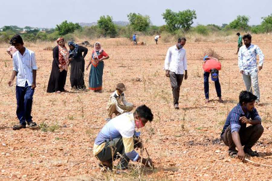 রায়লসীমা এলাকায় দামি রত্নের খোঁজ পাওয়া স্বাভাবিক বলে মনে করেন অনেকে। মধ্যযুগে বিজয়নগর সাম্রাজ্যের রমরমার সময় হিরে-জহরতের জন্য খ্যাতি ছিল রায়লসীমা অঞ্চলের। কথিত, সে আমলে শাক-সব্জি বিক্রির মতো হিরে-সহ নানা দামি রত্নের বিক্রিবাটা চলত হাম্পিতে।