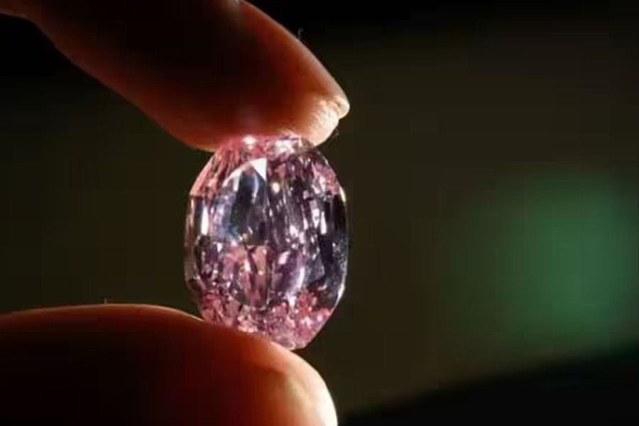 ওই বাসিন্দার আরও দাবি, হিরে বিক্রির পর পুলিশকে ৬ লক্ষ এবং রাজস্ব দফতরকে ৪ লক্ষ টাকা ঘুষ দিতে হয়েছে। বাকি টাকায় তাঁর যাবতীয় ঋণ শোধ করেছেন।