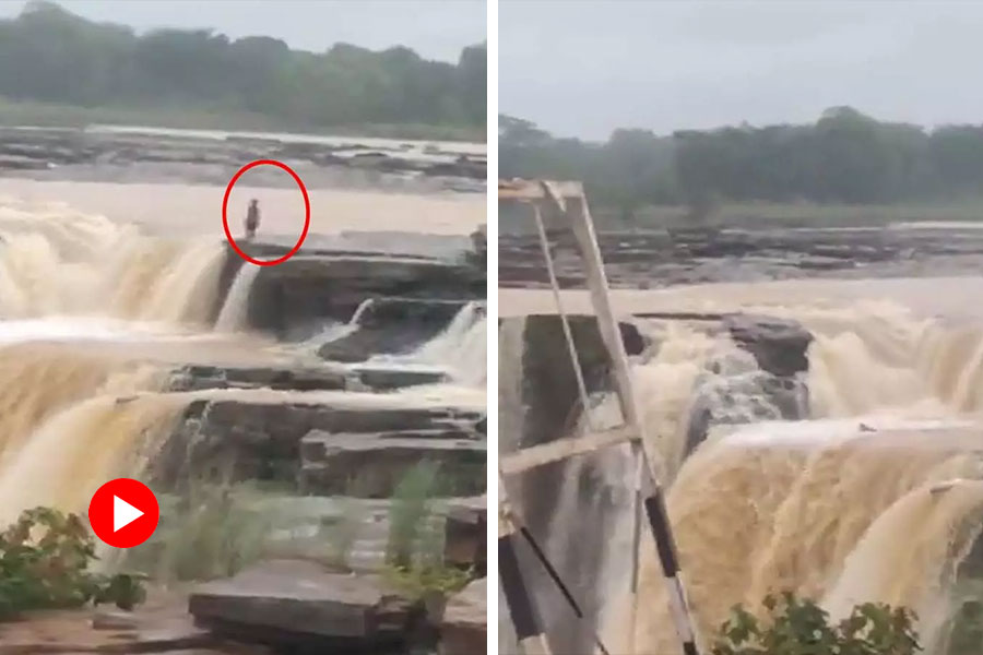 Viral video of Chhattisgarh girl jumping into waterfall as parents scolded her for using mobile