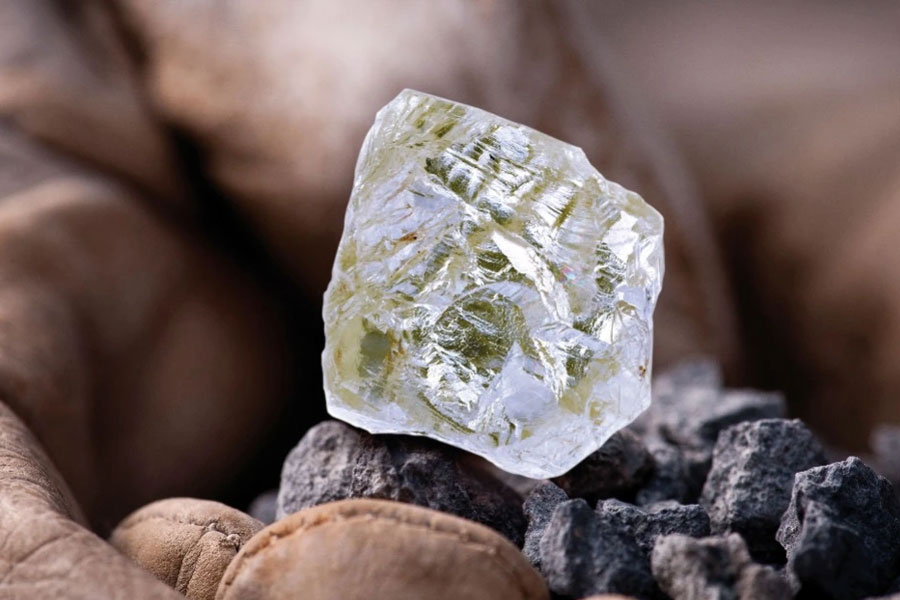 এত দিন সুরাত থেকে হিরের ব্যবসার জন্য অনেককে মুম্বই যাতায়াত করতে হত। সুরাত ডায়মন্ড বুর্সে এক ছাদের নীচে সব বন্দোবস্ত হওয়ায় সেই সমস্যা আর হবে না।