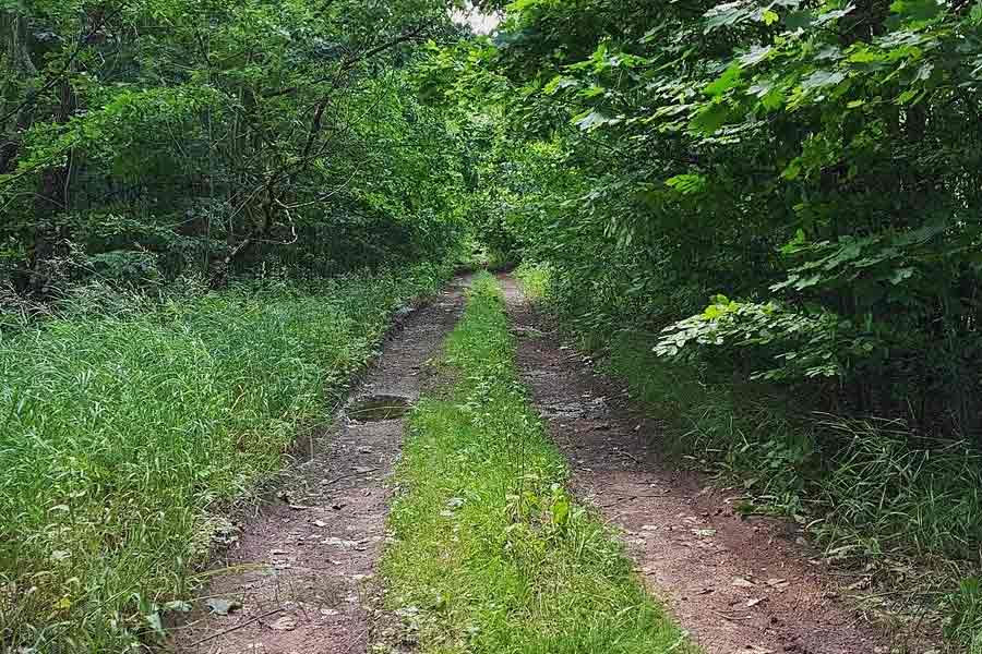  এ হেন গ্রামটি খুঁজে পেতে হলে প্রাচীন এক সুড়ঙ্গের পাশ দিয়ে গিয়ে রাস্তা খুঁজতে হবে, এমন কথাই বলে স্থানীয় জনশ্রুতি। এ কথাও জানা যায়, ১৯৭০ দশকের গোড়ার দিকে এক তরুণ যুগল হিসায়ামা শহরের দিকে যাচ্ছিলেন। এমন সময় হঠাৎই তাঁদের গাড়িটি বিগড়ে যায়। গাড়ি থেকে নেমে তাঁরা ইতিউতি ঘুরতে ঘুরতে এক জঙ্গলে প্রবেশ করেন। সেই জঙ্গলের ভিতরেই এক পরিত্যক্ত গ্রাম দেখতে পান তাঁরা। আকস্মিক ভাবে তাঁদের উপর এক উন্মাদ বৃদ্ধ কাস্তে হাতে ঝাঁপিয়ে পড়েন এবং তাঁদের হত্যা করেন।