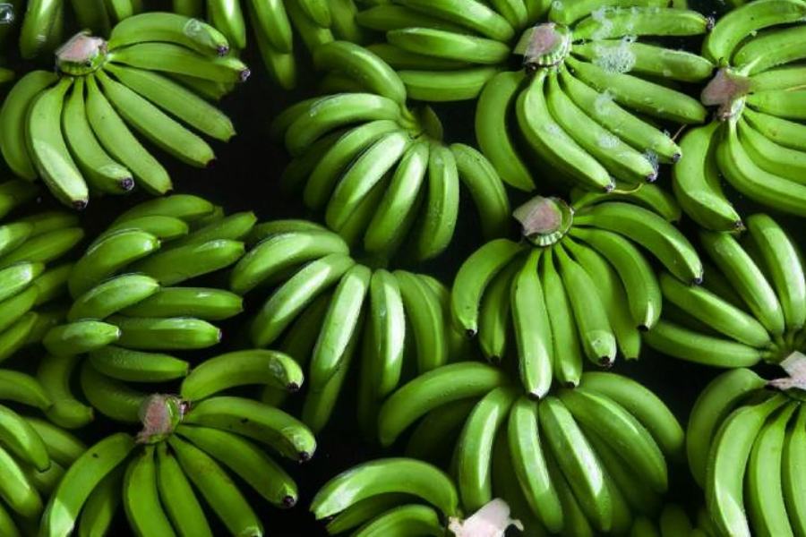 Image of  Green Bananas